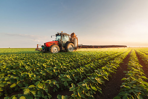 Agriculture